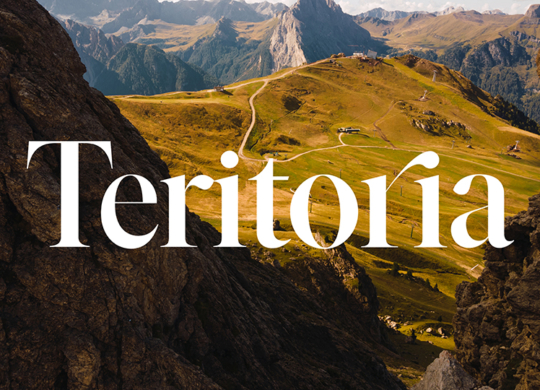 teritoria-logo-design