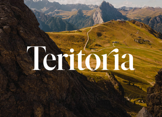 teritoria-logo-design-voyage