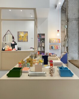 LEDADASHOP-lyon-interieur