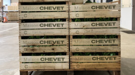 caisse-bois-aromates