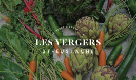 les-vergers-st-eustache-branding2
