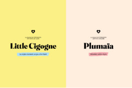 little-cigogne-plumaia-marques-1