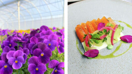 Maison-CHEVET-gastronomy-flowers