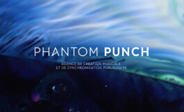 phantom-punch-logo-design-jeffpag
